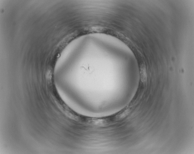 X0000070340472200607072017