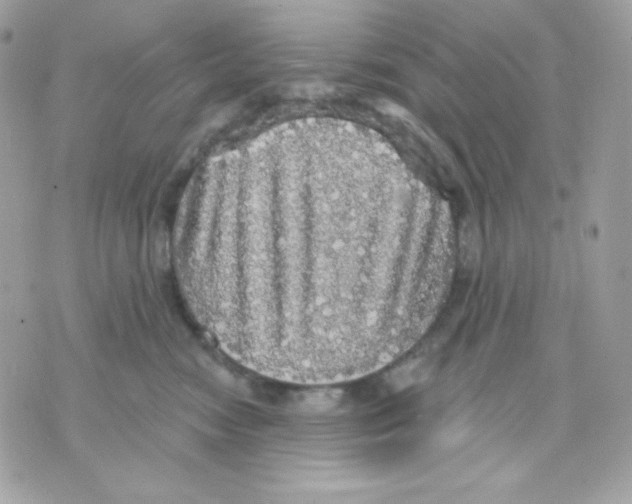 X0000070340474200607072017