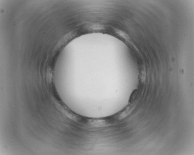 X0000070340476200607072017