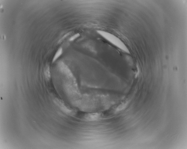 X0000070340479200607072017