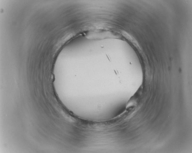 X0000070340481200607072017