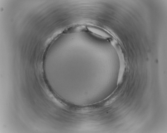 X0000070340485200607072017