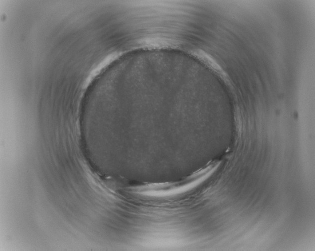 X0000070340488200607072017