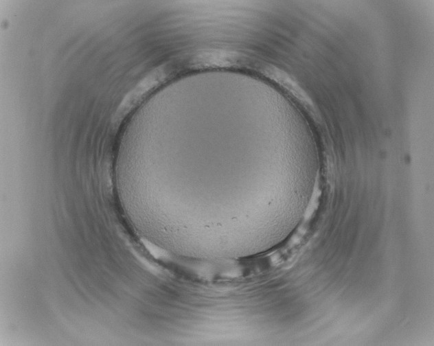 X0000070340489200607072017