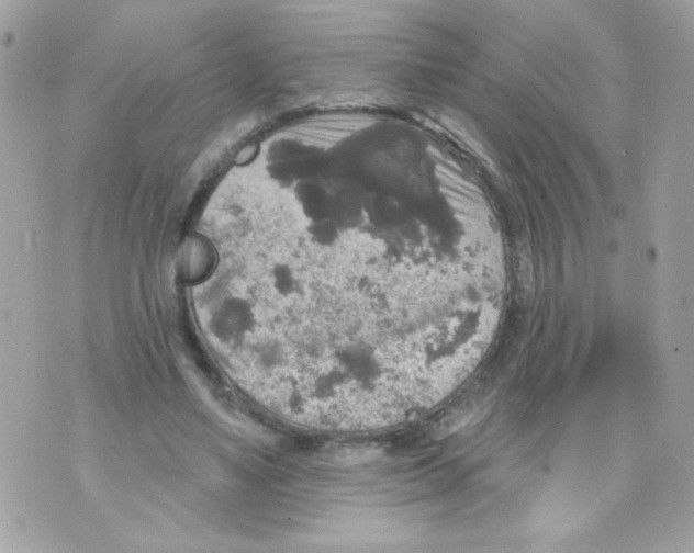 X0000070340491200607072016