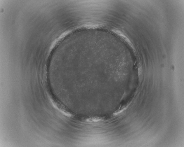 X0000070340492200607072016