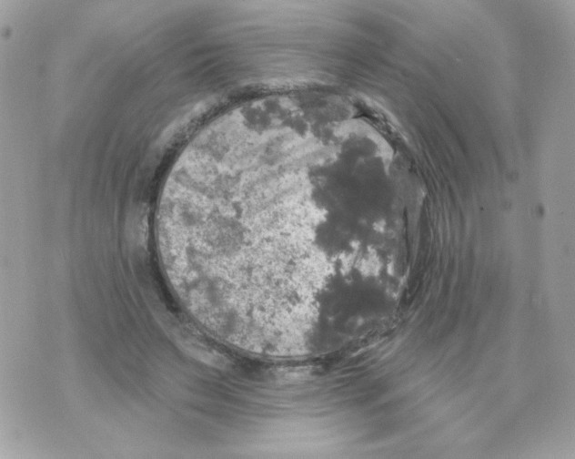 X0000070340495200607072016