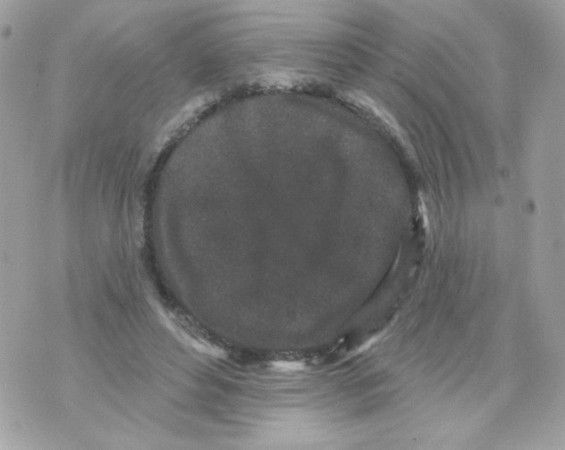 X0000070340496200607072016