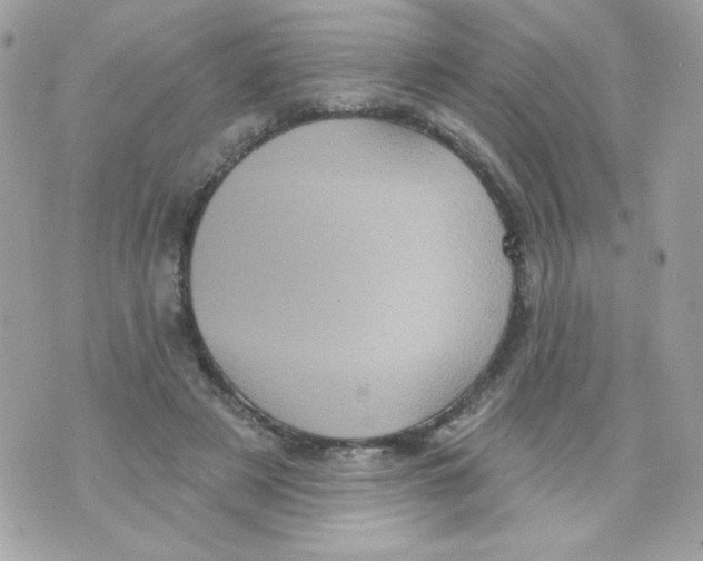 X0000070340497200607072016