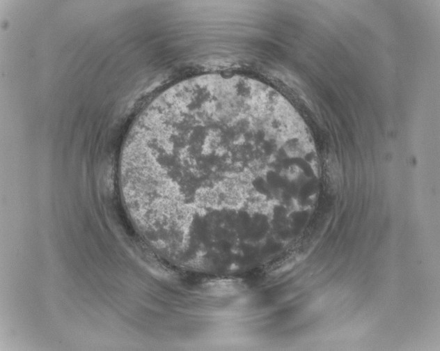 X0000070340499200607072016