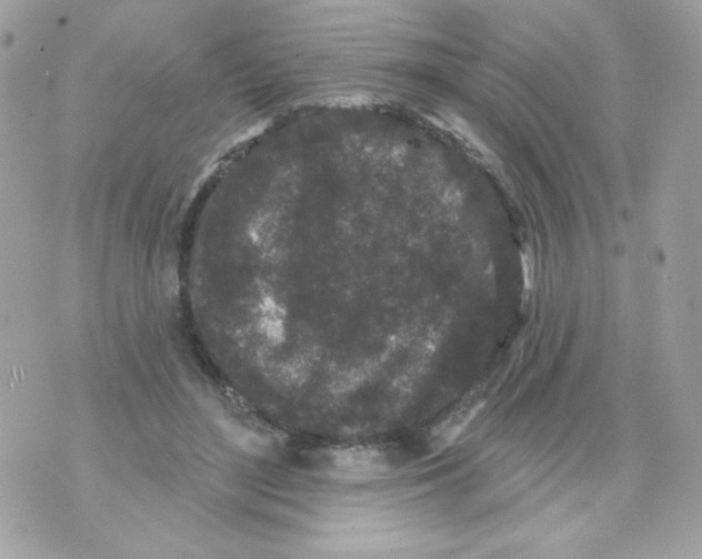 X0000070340500200607072016