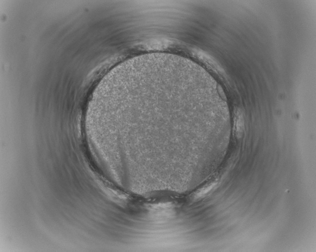 X0000070340501200607072016