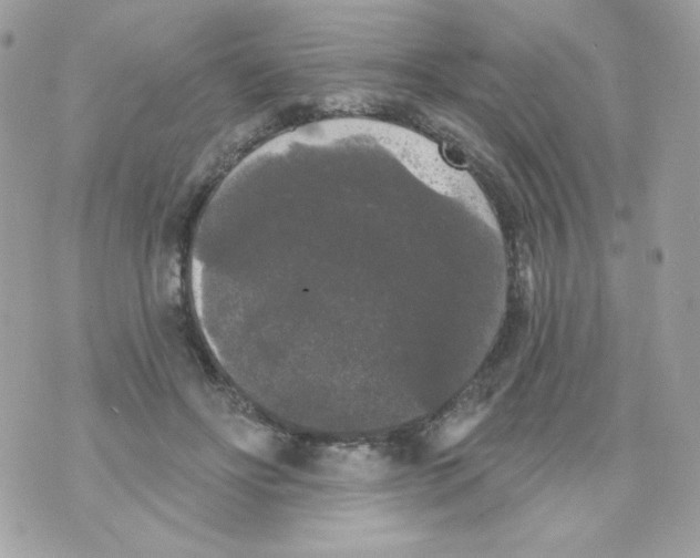 X0000070340502200607072016