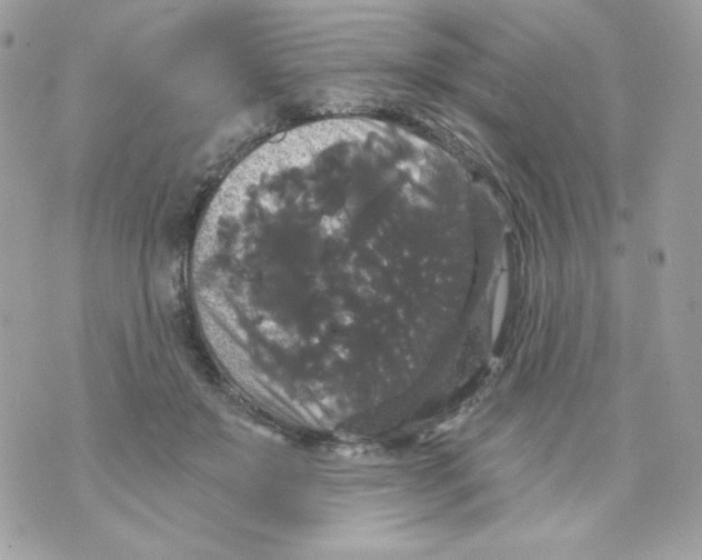 X0000070340503200607072016