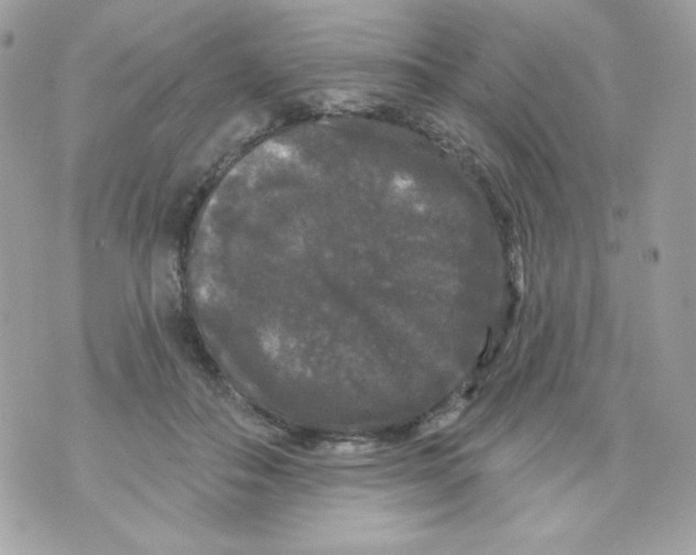 X0000070340506200607072016