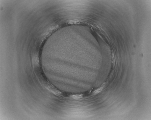 X0000070340508200607072016