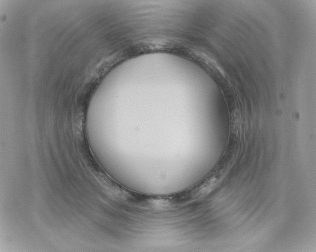 X0000070340509200607072016