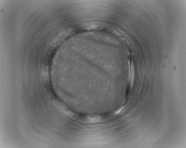 X0000070340510200607072016