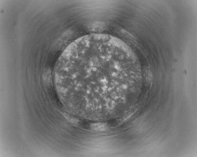 X0000070340511200607072016