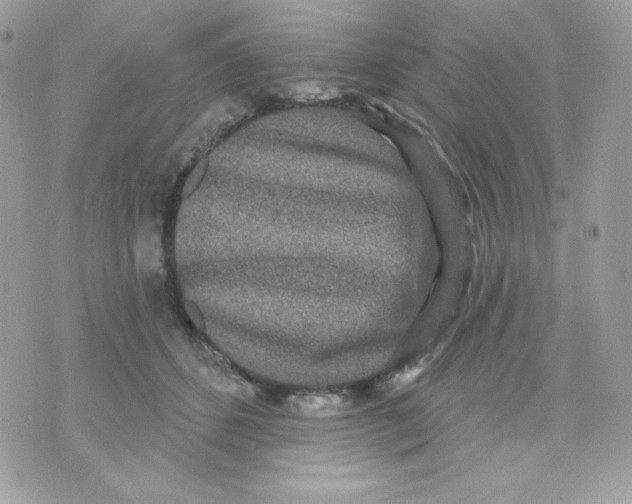 X0000070340512200607072016