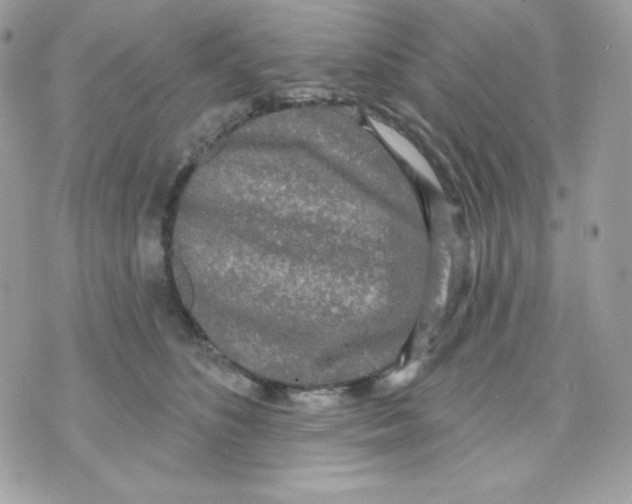 X0000070340516200607072016