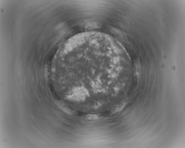 X0000070340519200607072016