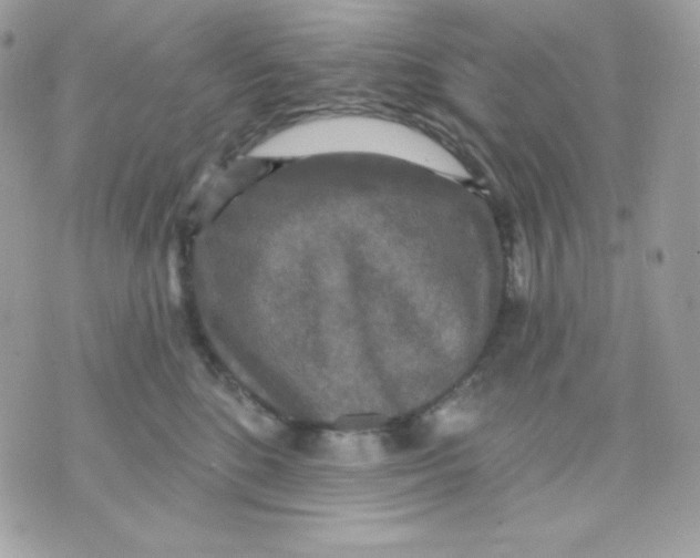 X0000070340520200607072016