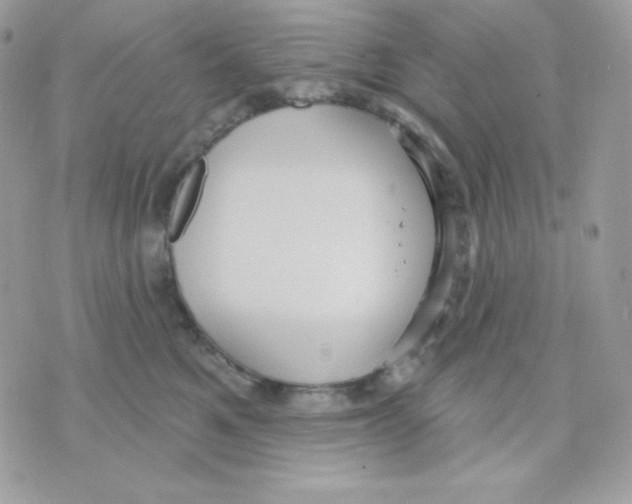 X0000070340521200607072016