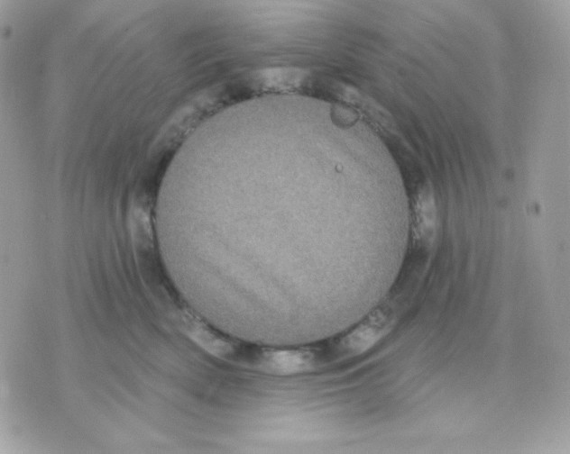 X0000070340522200607072016