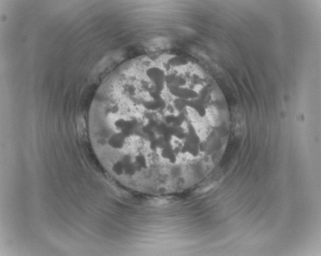 X0000070340523200607072016