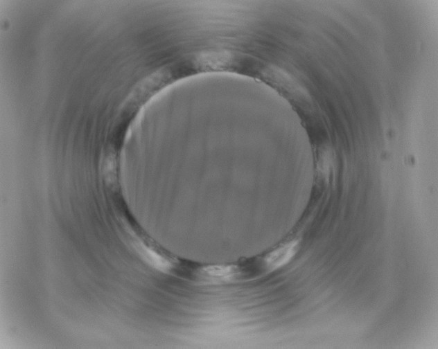 X0000070340526200607072016