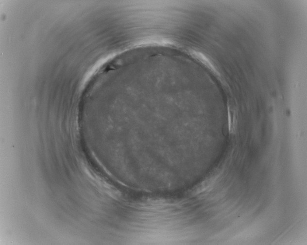 X0000070340531200607072015