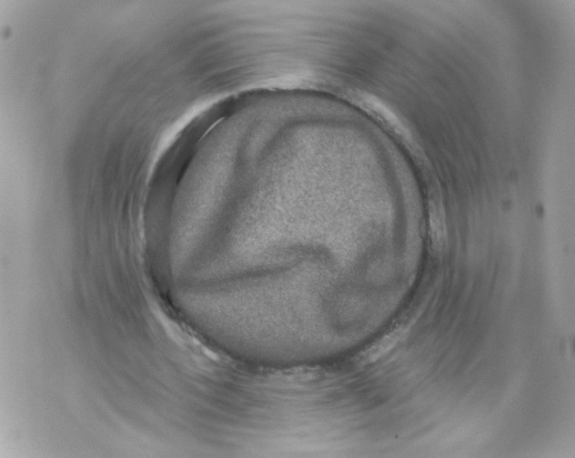 X0000070340532200607072015