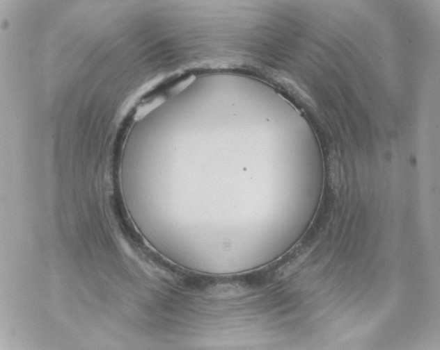 X0000070340536200607072015