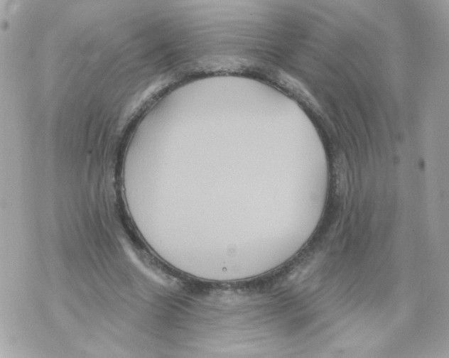 X0000070340538200607072015