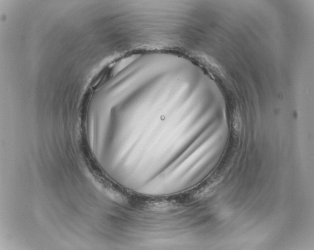 X0000070340540200607072015