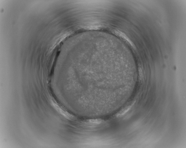 X0000070340541200607072015