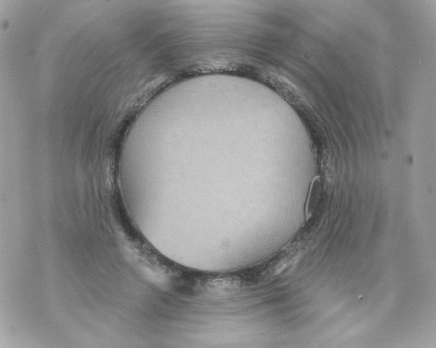 X0000070340546200607072015