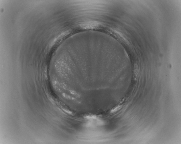 X0000070340547200607072015