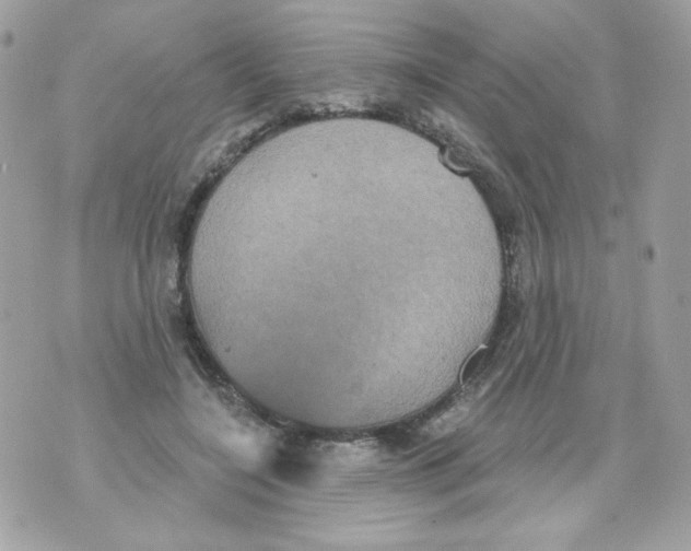 X0000070340548200607072015