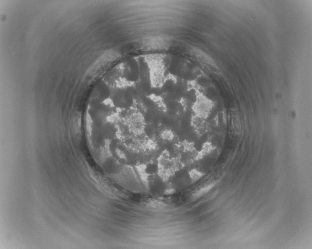 X0000070340550200607072015