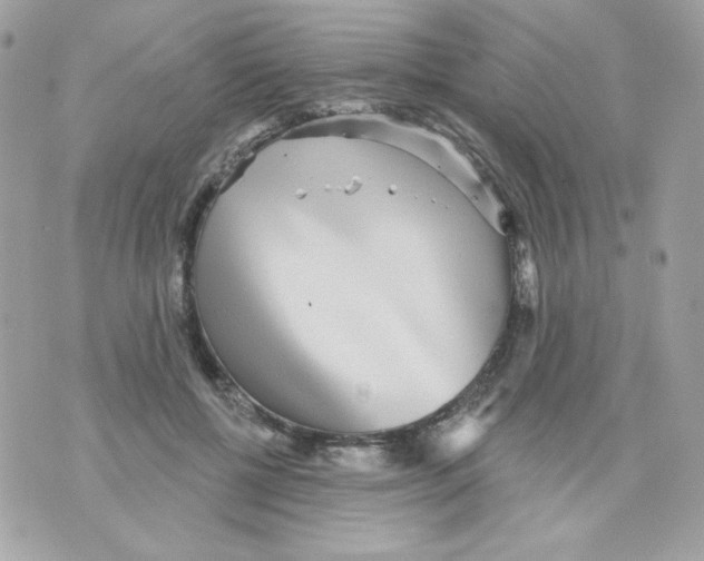 X0000070340552200607072015