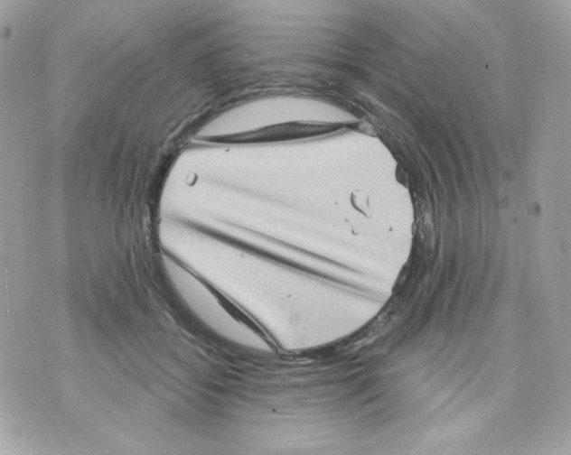 X0000070340556200607072016