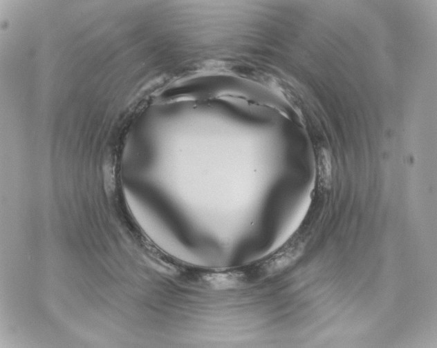 X0000070340558200607072016