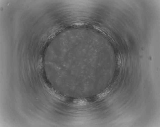 X0000070340559200607072016