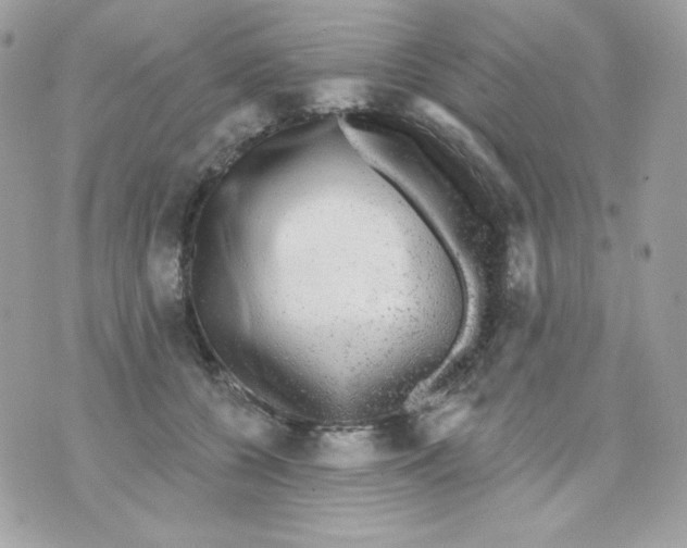 X0000070340560200607072016