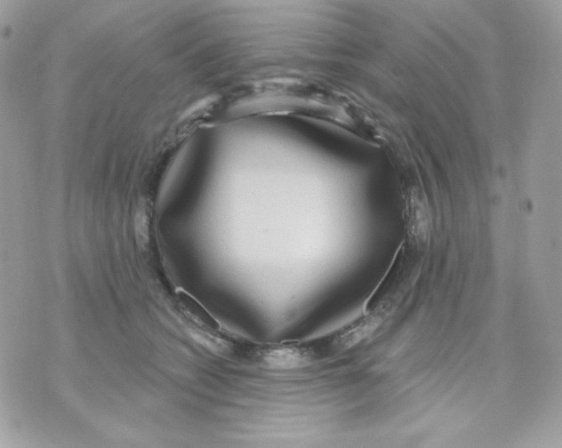 X0000070340562200607072016