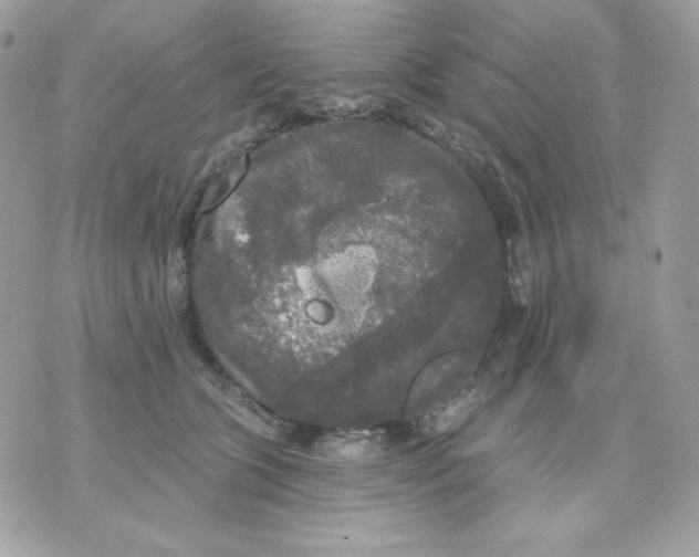 X0000070340563200607072016