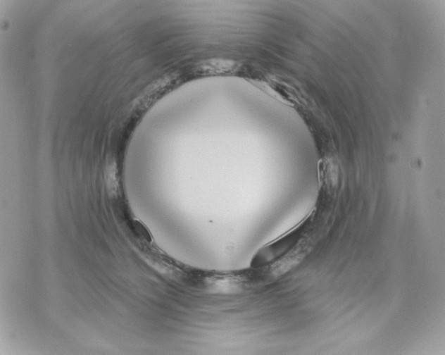 X0000070340564200607072016