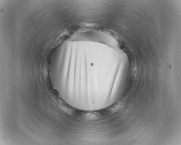 X0000070340566200607072016